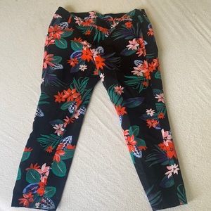 Old Navy Pixie Pants Size 14